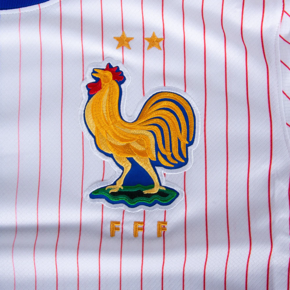 2025 Francia 2a Equipación - Image 4